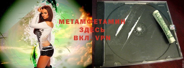 мет Алексин
