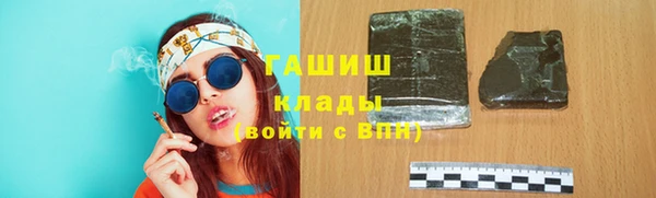 мет Алексин