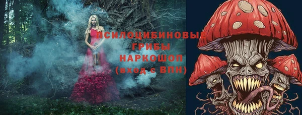 мет Алексин