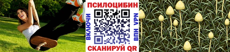 купить наркотик  Кропоткин  Псилоцибиновые грибы MAGIC MUSHROOMS 